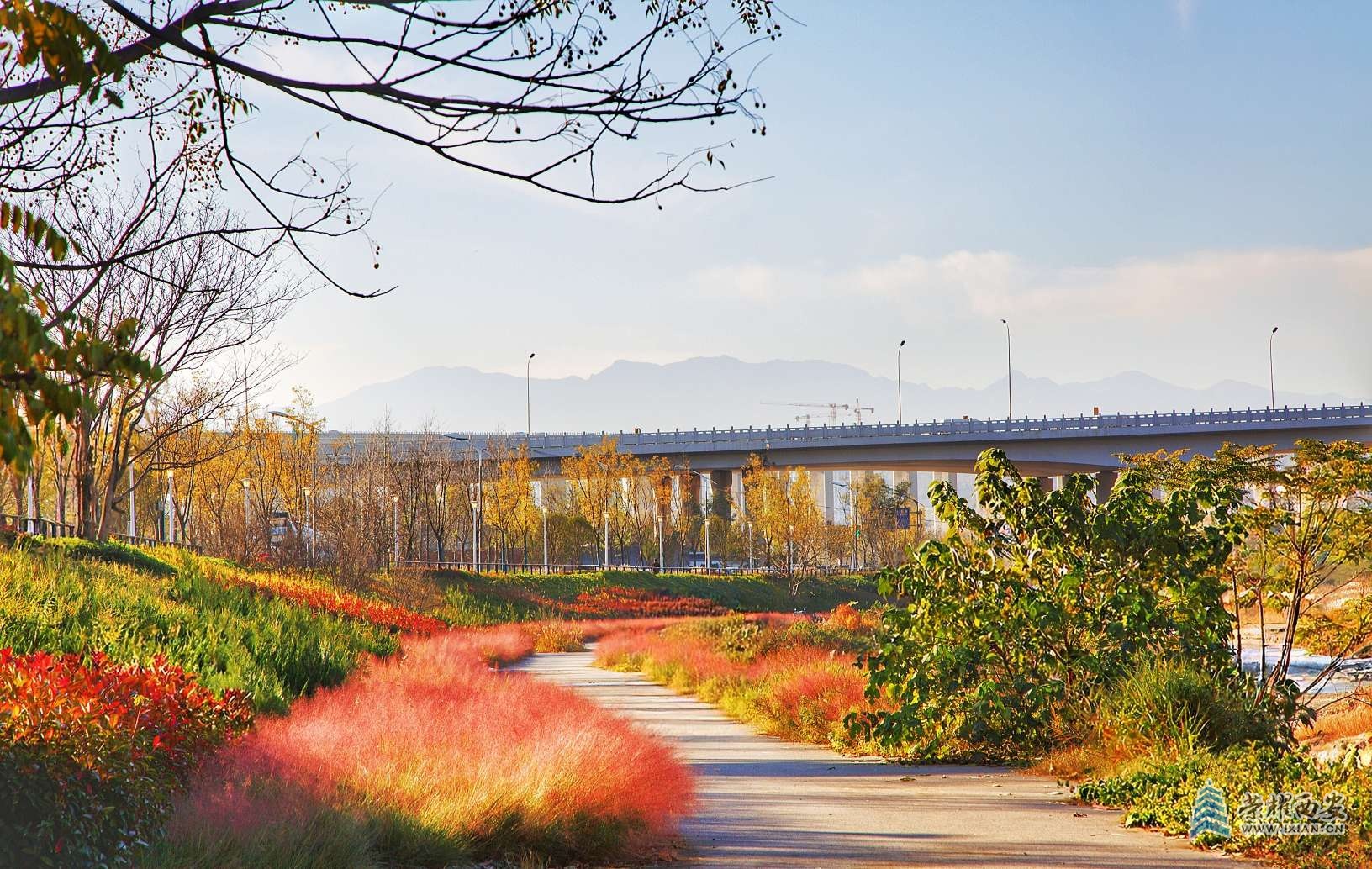 浐河雁鸣湖段（2）
