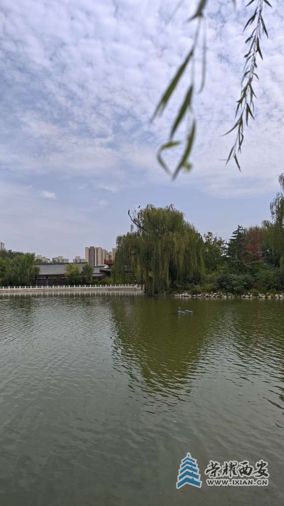 20261014090425front2_0_641246_FskmOg16C17eizRT1ErDLfB7b59d.jpg