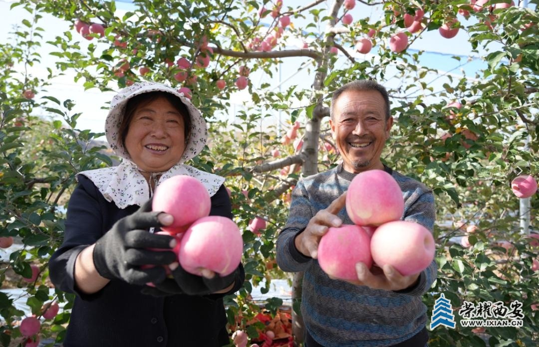 bdc61173a8fa4d0f8f7bd484f88fb7bd~tplv-tt-origin-web:gif.jpeg?_iz=58558&from=article.jpg