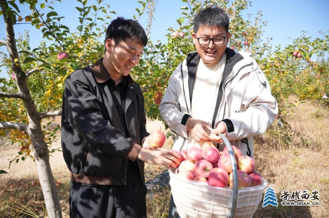 becd2241bab6493493d8ea83630b394e~tplv-tt-origin-web:gif.jpeg?_iz=58558&from=article.jpg