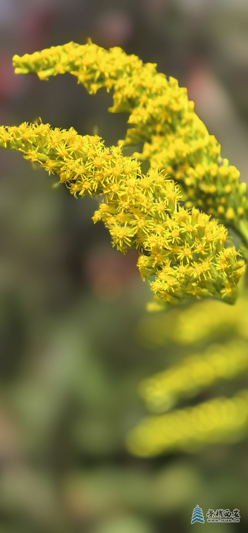 20261020111214front2_0_640866_FsXEblJ5ctu700PzG68JkuxLSsYH.jpg