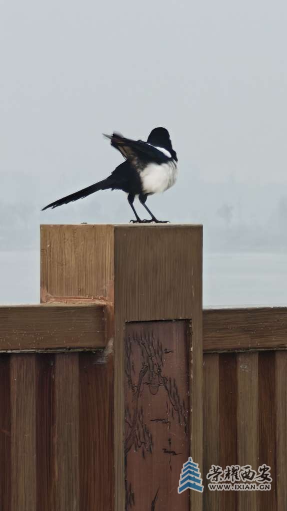 20261025113614front2_0_641246_Fq3j9DpPmV5Dks6bO9VRbIQr_cV4.jpg
