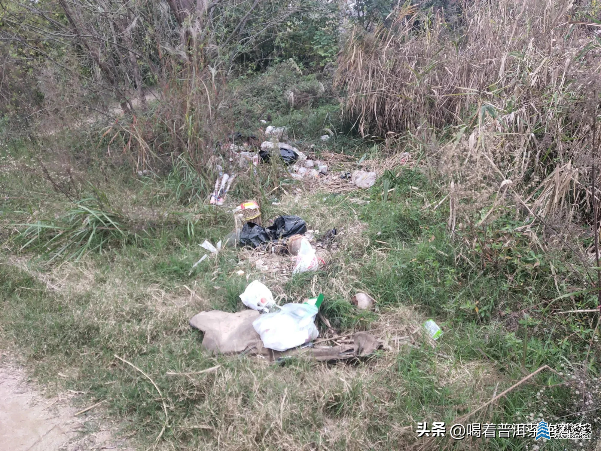 到底是谁在破坏渭河生态？刚清理干净的河滩，周末又被“日韩干”带着孩子露营乱扔垃圾